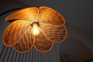 Disfruta el espectáculo de la bahía