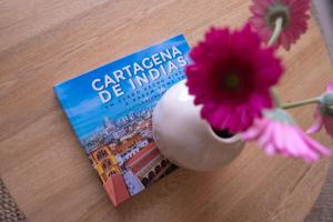 Disfruta el espectáculo de la bahía