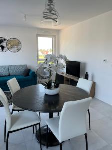 Appartements La Terrasse du Vignoble - Garage et parking privatifs : photos des chambres