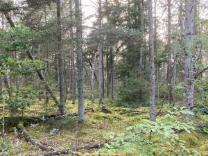 Relaxed Summer House By The North Sea