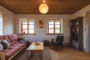 Cattle And Horses At Lundstedet At Skovsgaard