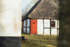 Cattle And Horses At Lundstedet At Skovsgaard