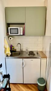 Studio Apartment Greis
