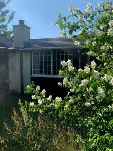 Dalarstuen, Historic Summer House In Liseleje