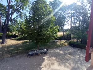 Maisons de vacances Gite 15 personnes, Bastide en Provence : photos des chambres