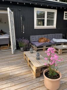 Home With Recycled Finds Near Nature