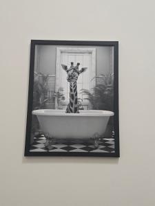 Le stanze di Ruggero