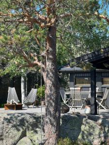 Premium Cabin By Reinsvatn With Scenic Views