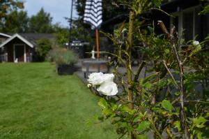 Holiday Home With Large Garden Near Jægerspris