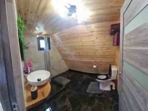 A-frame Râu Sadului