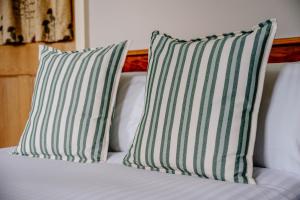 Craig s Lair Boho Jungle