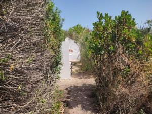 Carloforte Palme House
