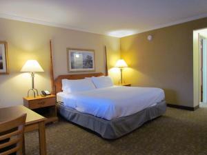 Executive King Suite with Jetted Tub room in Magnuson Grand Pioneer Inn and Suites