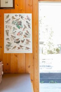 Real Summer Idyll In Denmarks Beautiful Nature