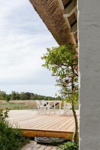 Protected Nature At Thatched Gem