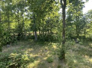 House Near Woods And Fields In Mols Bjerge