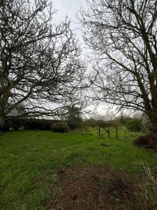 Maisons de vacances Grande maison spacieuse pour 9 personnes : photos des chambres