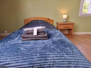 Maisons de vacances Grande maison spacieuse pour 9 personnes : photos des chambres