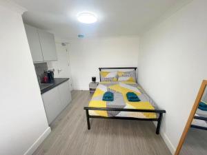 Modern 8 bedroom House in South London