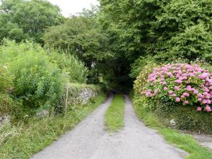 Popehill Farm Apartment