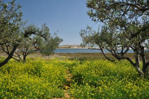 Alkionides Villas Lasithi Greece