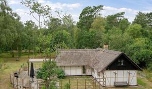 Modern Farmhouse With Thatched Roof In Rørvig