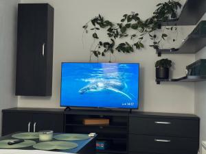 Panda Apartment Zorilor