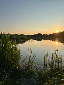 Dom z linią brzegową Narwi 3