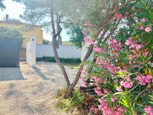 Appartements Casa Corniou - Calme, Village Provencal, 3 chambres, 2 SDB, 6 personnes : photos des chambres