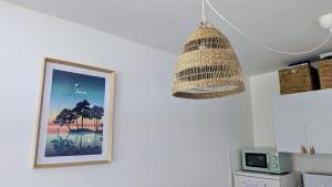 La Petite Maison dans la Pinède