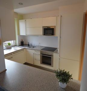 Drei am Zemminsee, Whg Obergeschoss