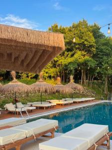 Padel Olivias Hill Resort