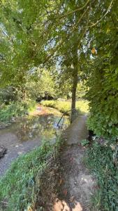 B&B / Chambres d'hotes Le Logis du Petit Lay : photos des chambres