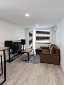 Alytus Miško studio