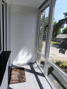 Alytus Miško studio