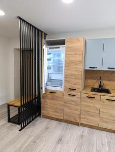 Alytus Miško studio