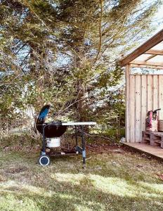 Beachfront Villa At Dannemare With Sea View