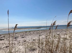 Thatched House Near Skødshoved Beach