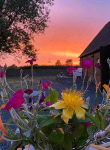 Authentic Farm Close To The Water On Samsø
