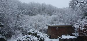 Summer House In Skovgårde With Forest View
