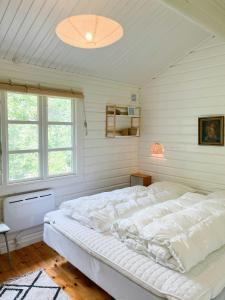 Fine Details In Forest Setting In Ebeltoft