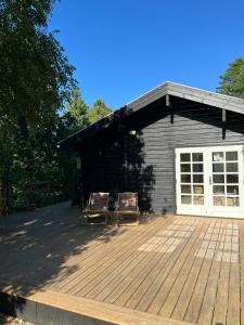 Fine Details In Forest Setting In Ebeltoft