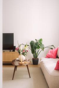 Agapella Apartamenty- Apartament Kościuszki Centrum, free parking