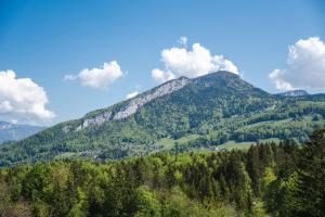 Ferienwohnung Glücksmomente