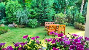 Symbiola Holiday House