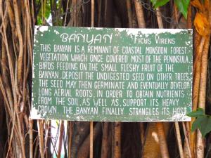 Banyan Tree Holiday Park