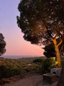 Gigaro Eden View mas St Tropez