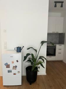 Cozy 55m2 apartment near Cologne