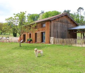 B&B / Chambres d'hotes Le Sechoir de Saint Vincent : photos des chambres