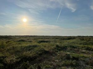 Architect-Designed Gem At The West Coast